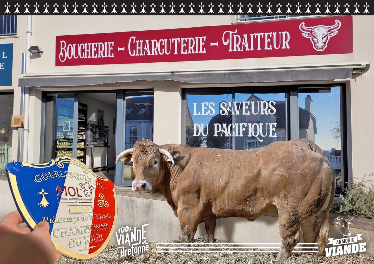 Plaque « Champion du jour » du concours de Guerlesquin 2023 devant la boutique, à côté du taureau primé, viande bovine 100 % bretonne.